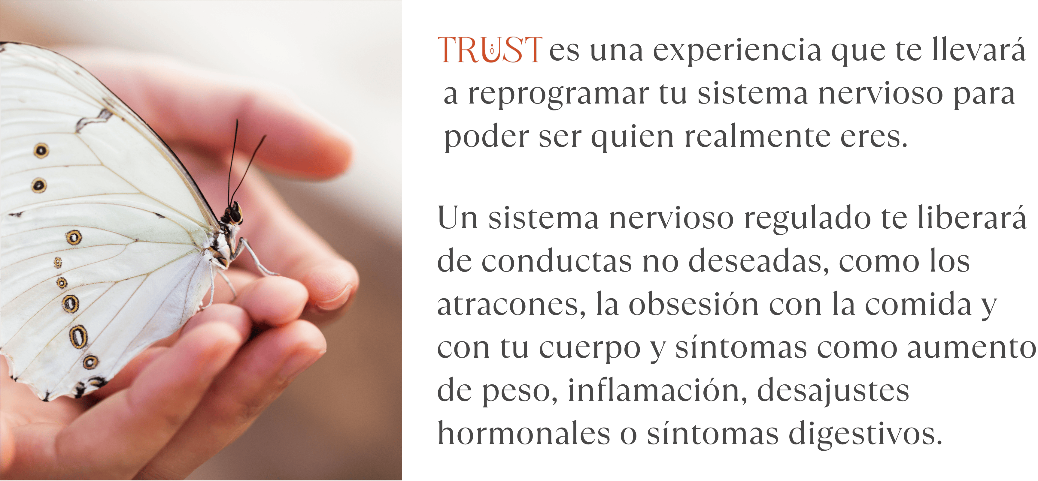 Trust Mariposa Móvil
