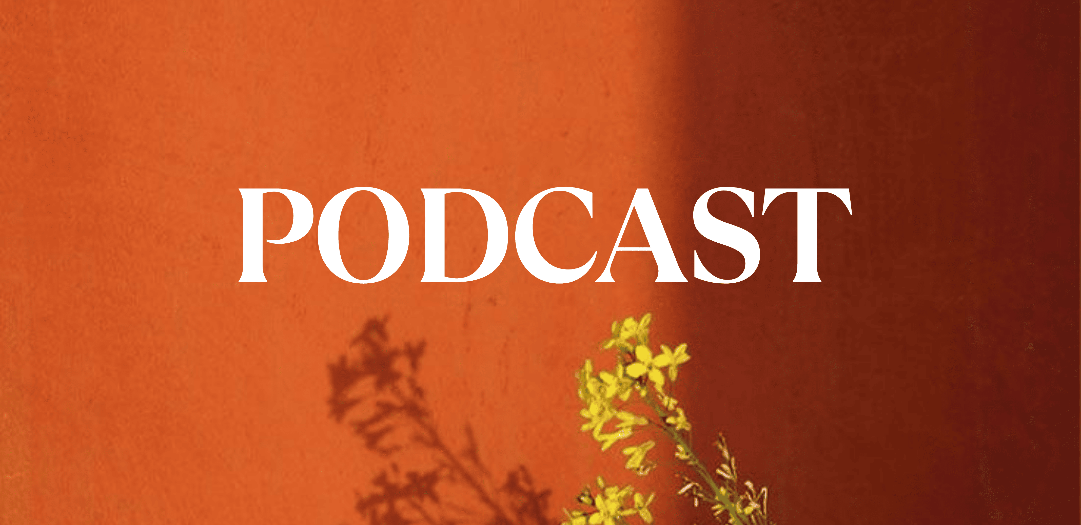 Podcast Banner
