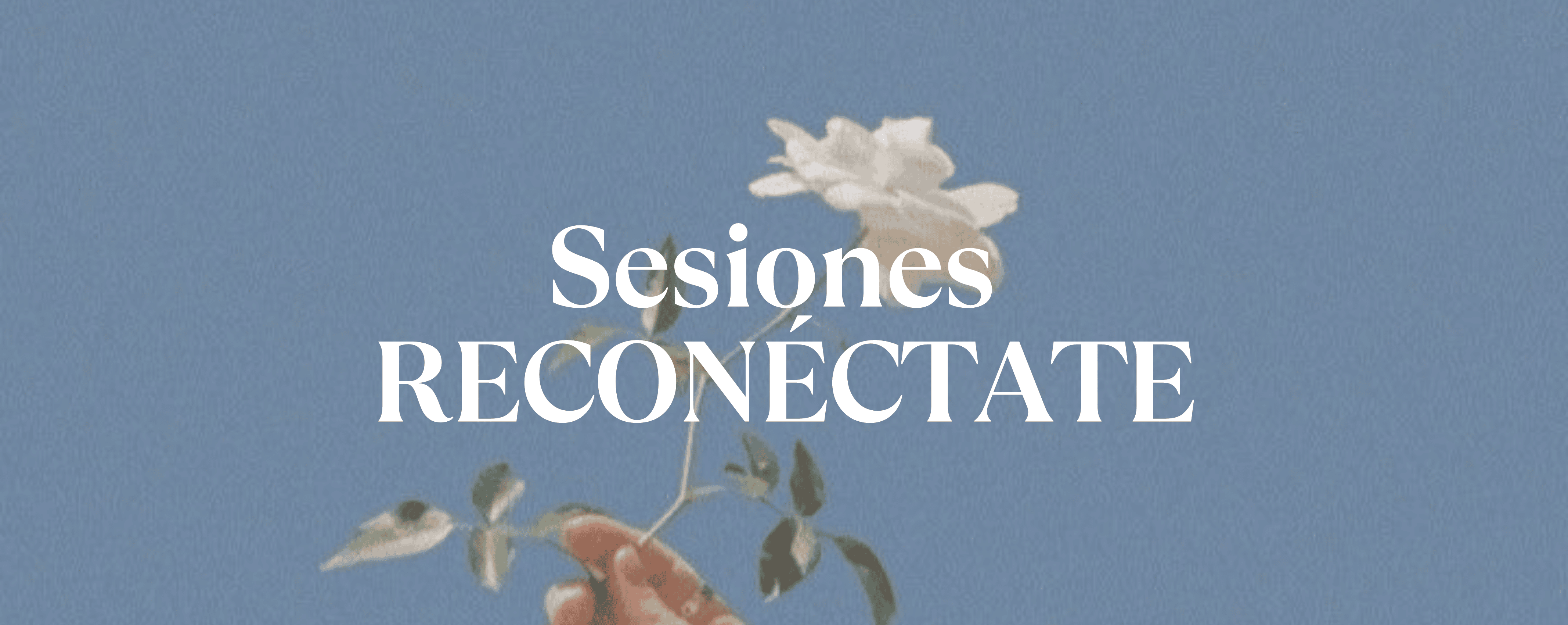 Sesiones Reconectate